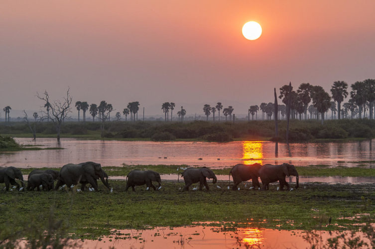tented safari, sunset selous tanzania