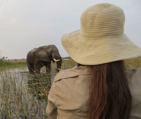 Okavango Delta Travel Guide, Luxury Africa safari