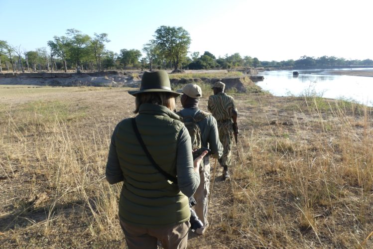 Zambia Safari, Walking Safaris in africa, South Luangwa Safari