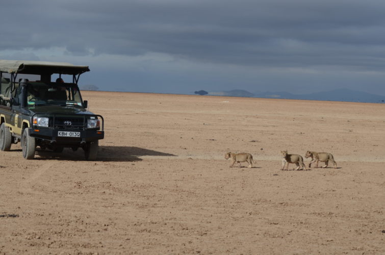 Amboseli safari