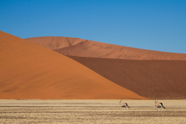 Sossusvlei Travel Guide