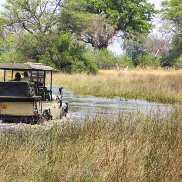 Okavango Delta Travel Guide, Okavango Delta Travel Guide, Botswana safaris botswana luxury safaris River Crossing, Little Vumbura, Okavango Delta,