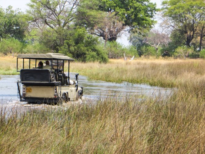 Okavango Delta Travel Guide, Okavango Delta Travel Guide, Botswana safaris botswana luxury safaris River Crossing, Little Vumbura, Okavango Delta,