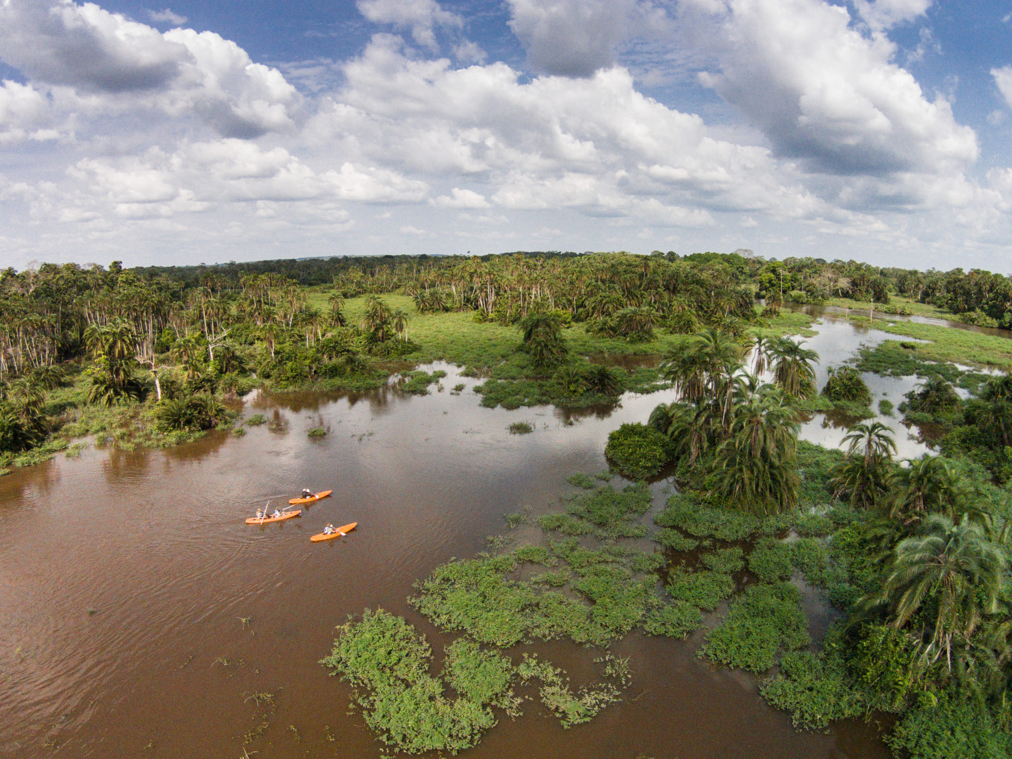 Полноводная река конго. Конго парк Одзала. Национальный парк Салонга. Лимпопо река. Река Конго реки Демократической Республики Конго.
