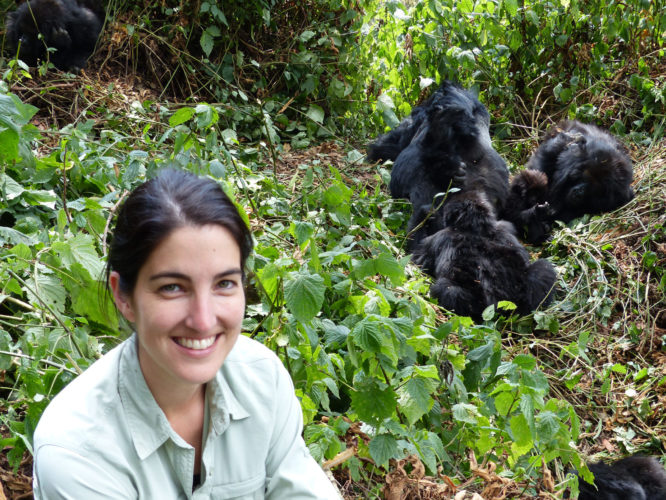 Gorilla family, Rwanda gorilla trekking, rwanda safaris, Gorilla Trekking and Primate Safaris, gorilla trekking in Africa