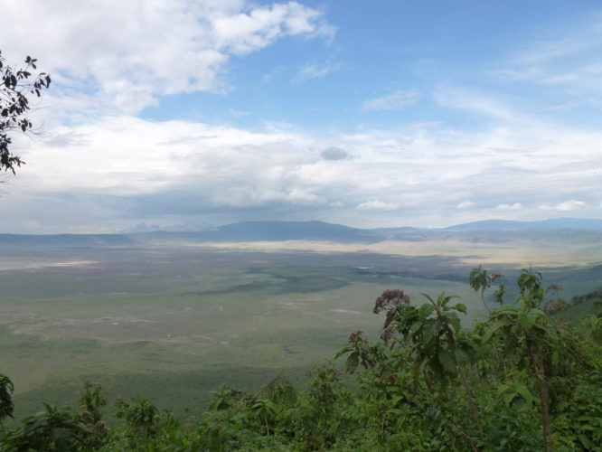 Tanzania Safaris Tanzania Safari Ngorongoro crater safari