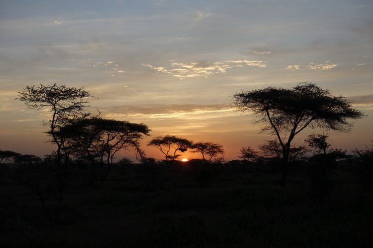 Serengeti Sunset, Tanzania