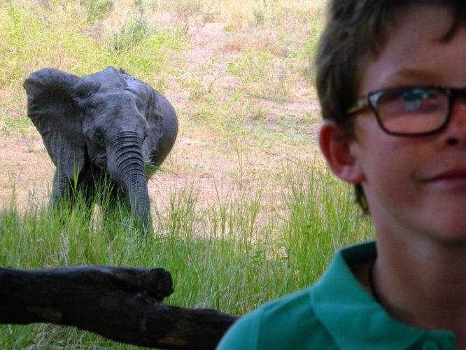 Okavango Delta Travel Guide, safari fun with my son in Botswana