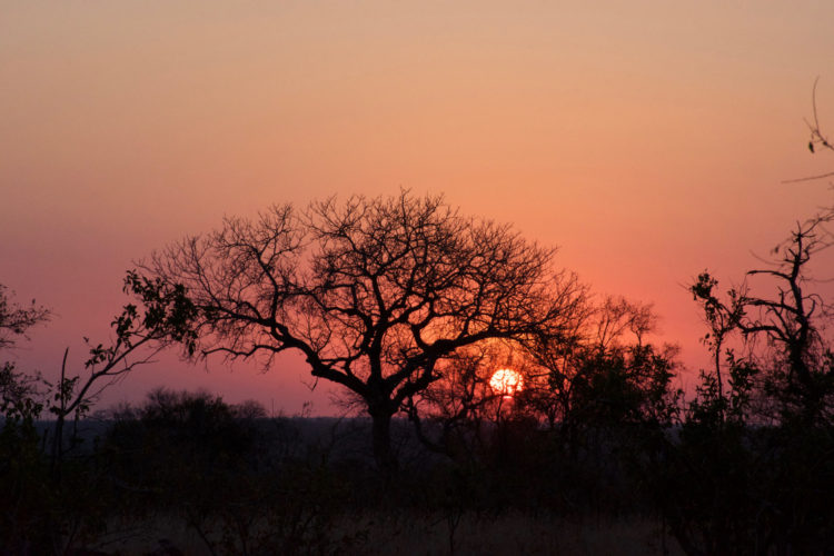 Africa travel specialists, Sunset, South Africa safari