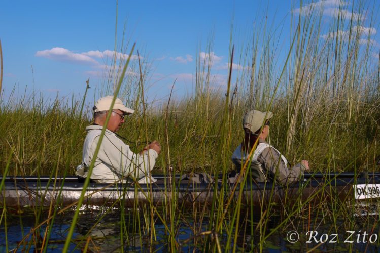 Okavango Delta, Botswana safaris, canoeing safaris and kayaking holidays
