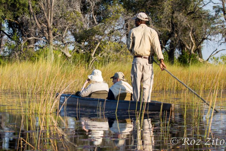 Wetlands, little vumbura, okavango delta, botswana safaris, canoeing safaris and kayaking holidays