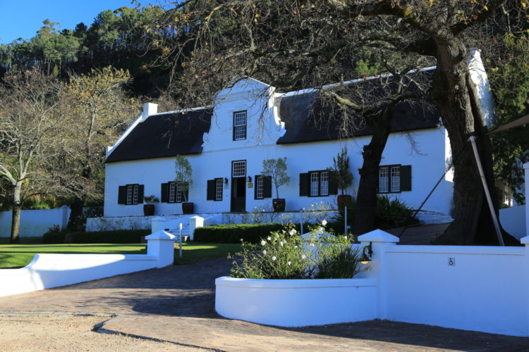 South Africa Safaris cape winelands