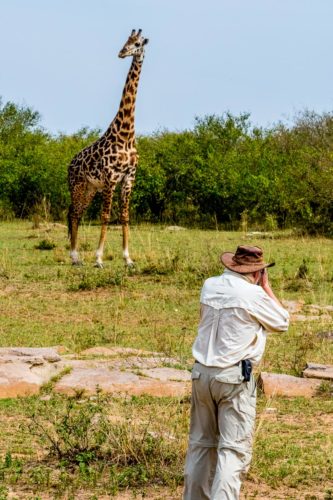 Kenya Safari photographic safari giraffe