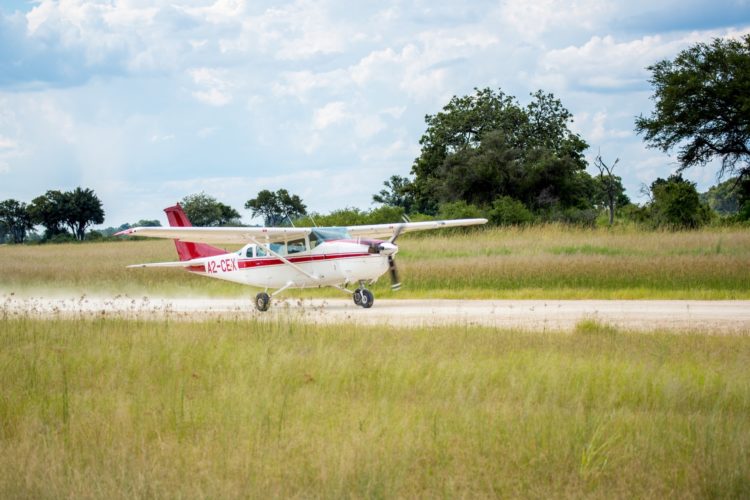 Okavango Delta Travel Guide