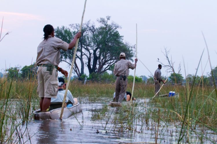 Okavango Delta Travel Guide