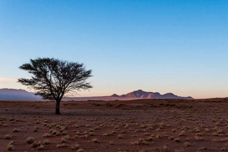 Namibia Safari