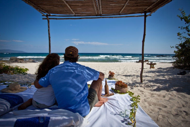 luxury indian ocean honeymoon, eco tourism in Mozambique, Wildlife safaris in Africa Mozambique safari Holidays, african wildlife safari tours, eco tourism, safari holiday packages from Australia, african wildlife safari tours
