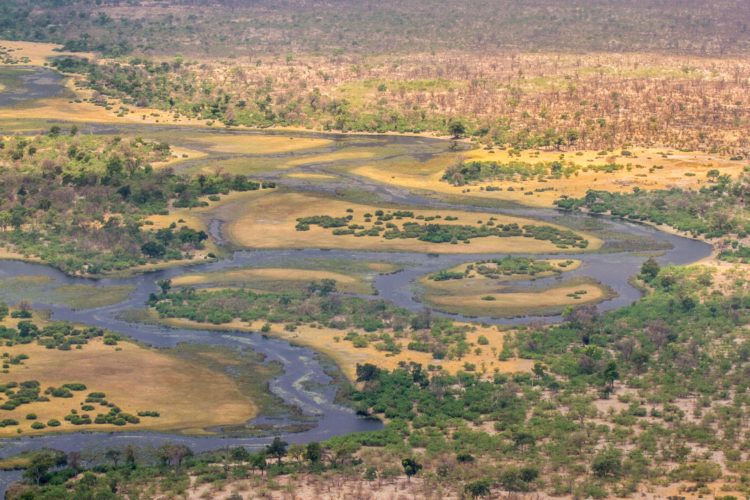 Okavango Delta Travel Guide