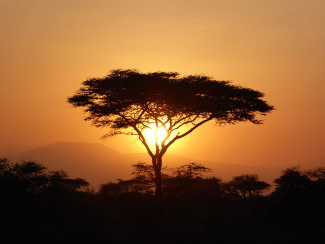 Tanzania safari sunset, luxury safaris, tanzania travel information