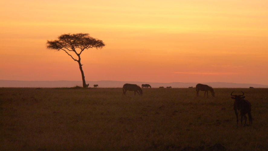 Kenya Safaris Sunset Masai Mara Safari