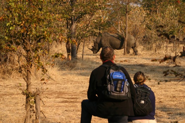 Rhino, walking safaris, big five safaris, philanthropic safari