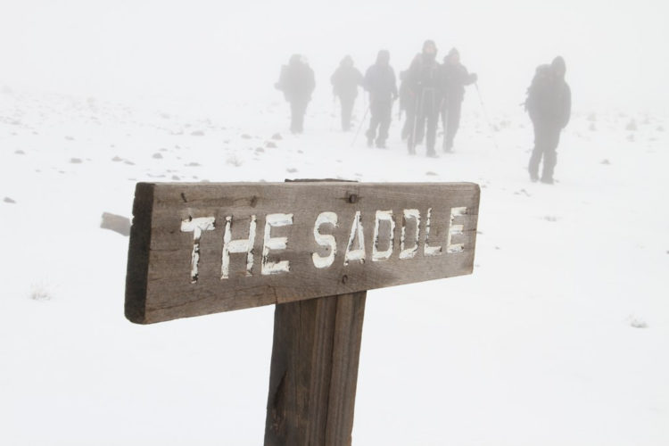 The Saddle and snow, Rongai route, mount kilimanjaro, mountain climbing in africa