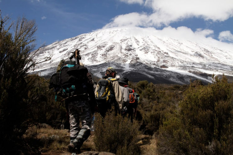Rongai route, trek approach, mount kilimanjaro, mountain climbing in africa