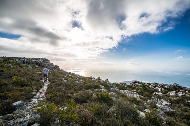 South Africa Safaris Table Mountain Cape Town, mountain climbing in africa, Cape Town Holiday Guide