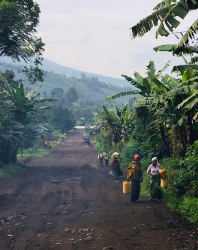 Democratic Republic of Congo Safari