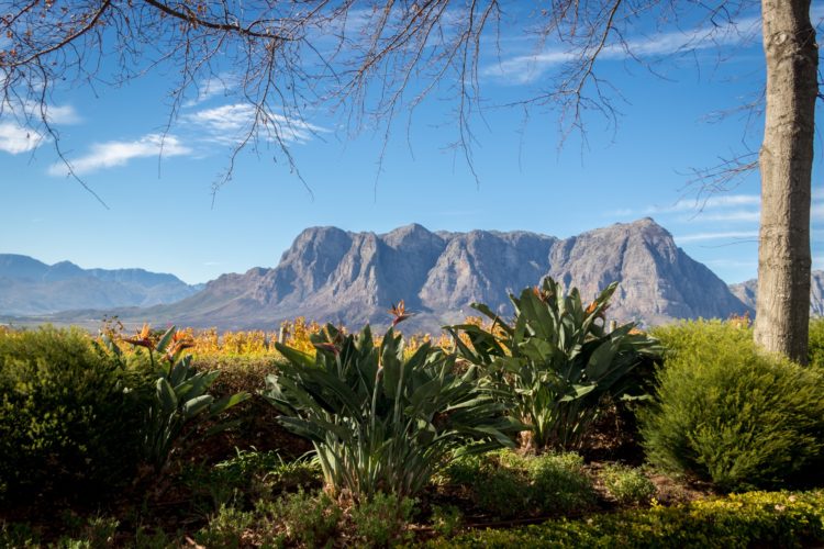 Africa travel specialists, Winelands Mountains, South Africa