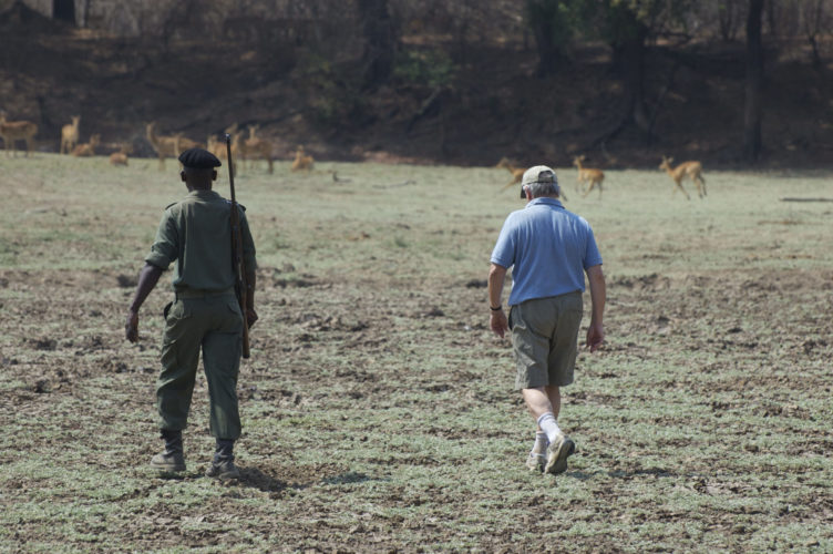 walking-safari-chindeni
