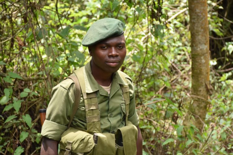 Democratic Republic of Congo holidays Gorilla trekking Virunga National Park