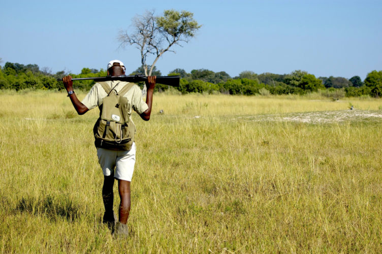 Paul the guide, footsteps across the delta, okavango delta, Botswana safaris, private safaris