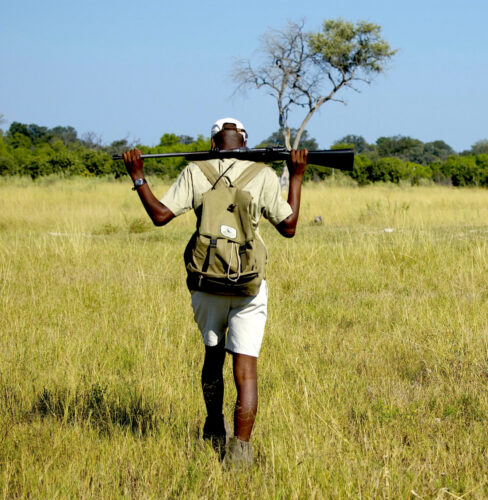 Paul the guide, footsteps across the delta, okavango delta, Botswana safaris, private safaris