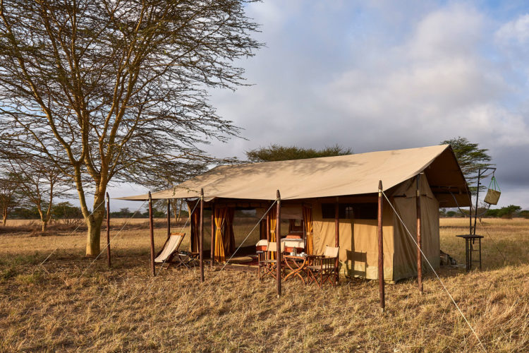 Legendary serengeti mobile camp, standard tent, mobile camping safari