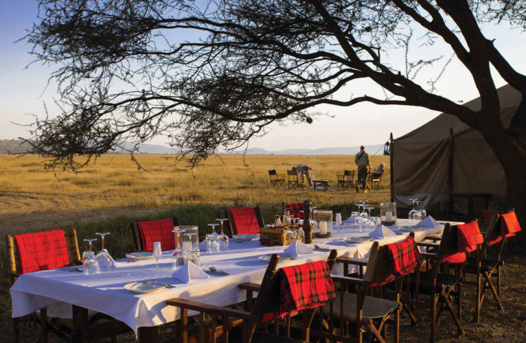 Luxury tanzania safari