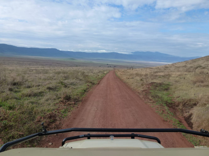 Tanzania Safari Ngorongoro Crater game drive