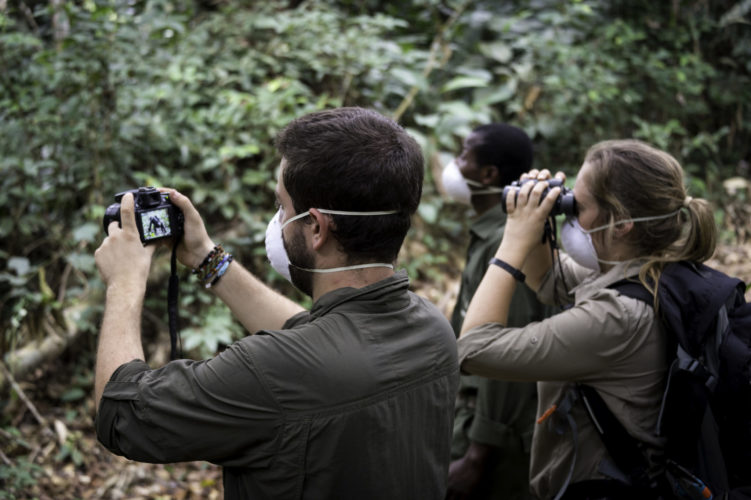 group tours, republic of congo safaris, Gorilla Trekking and Primate Safaris