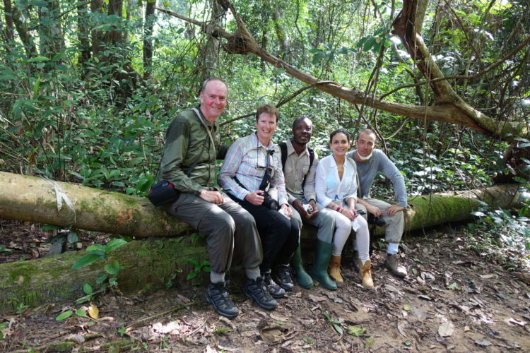 chimpanzee trekking, Tanzania safaris, Gorilla Trekking and Primate Safaris