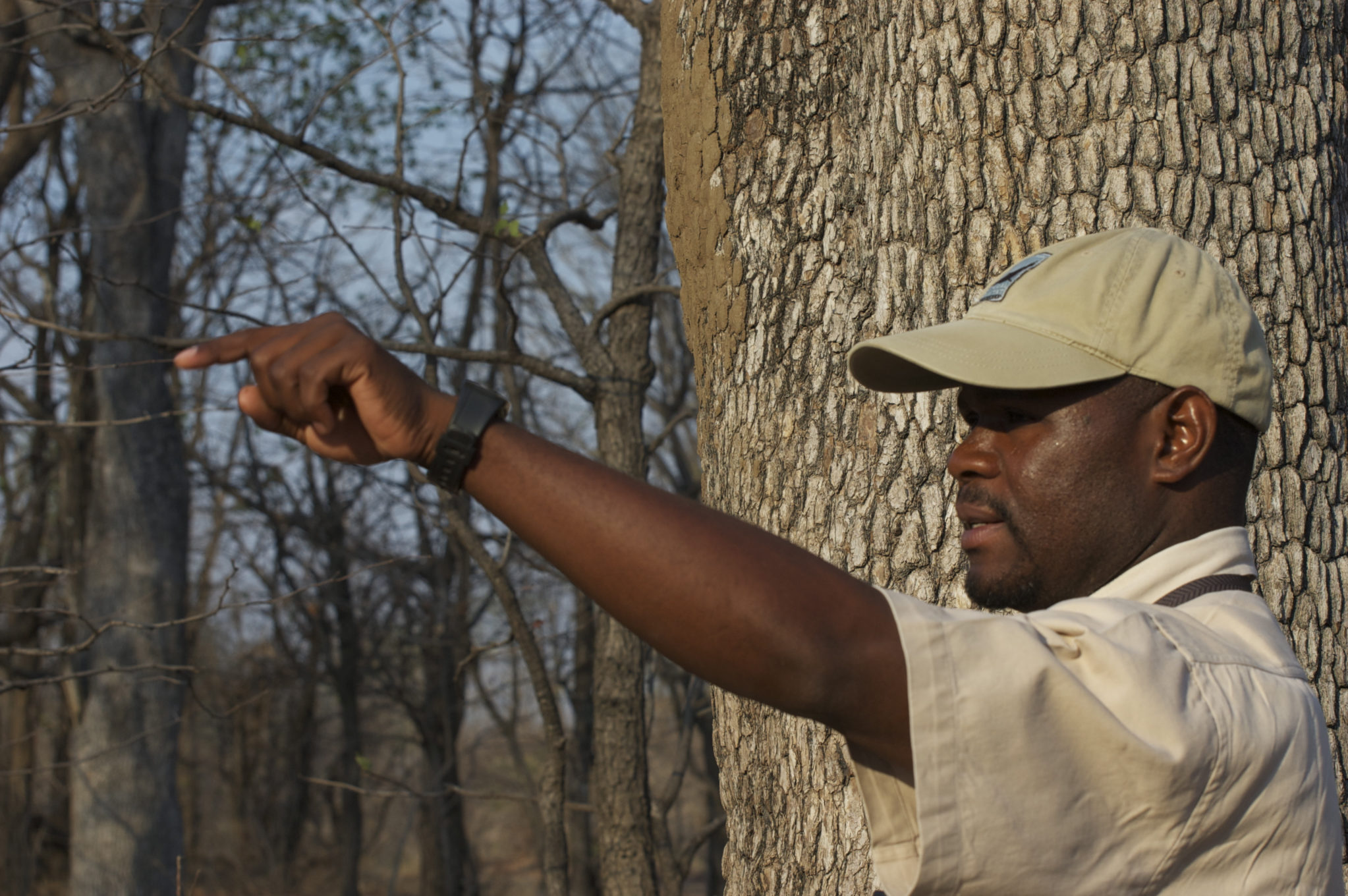 South Luangwa guide, chindeni, zambia safaris, private safaris