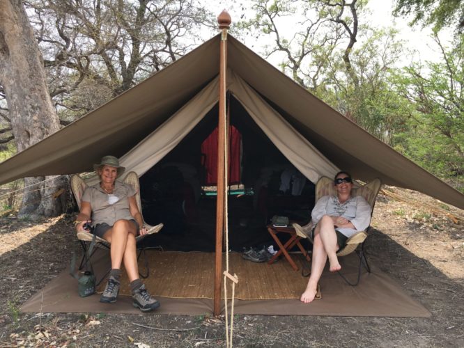 Tanda tula filed camp, mobile camping safari, wildlife safaris