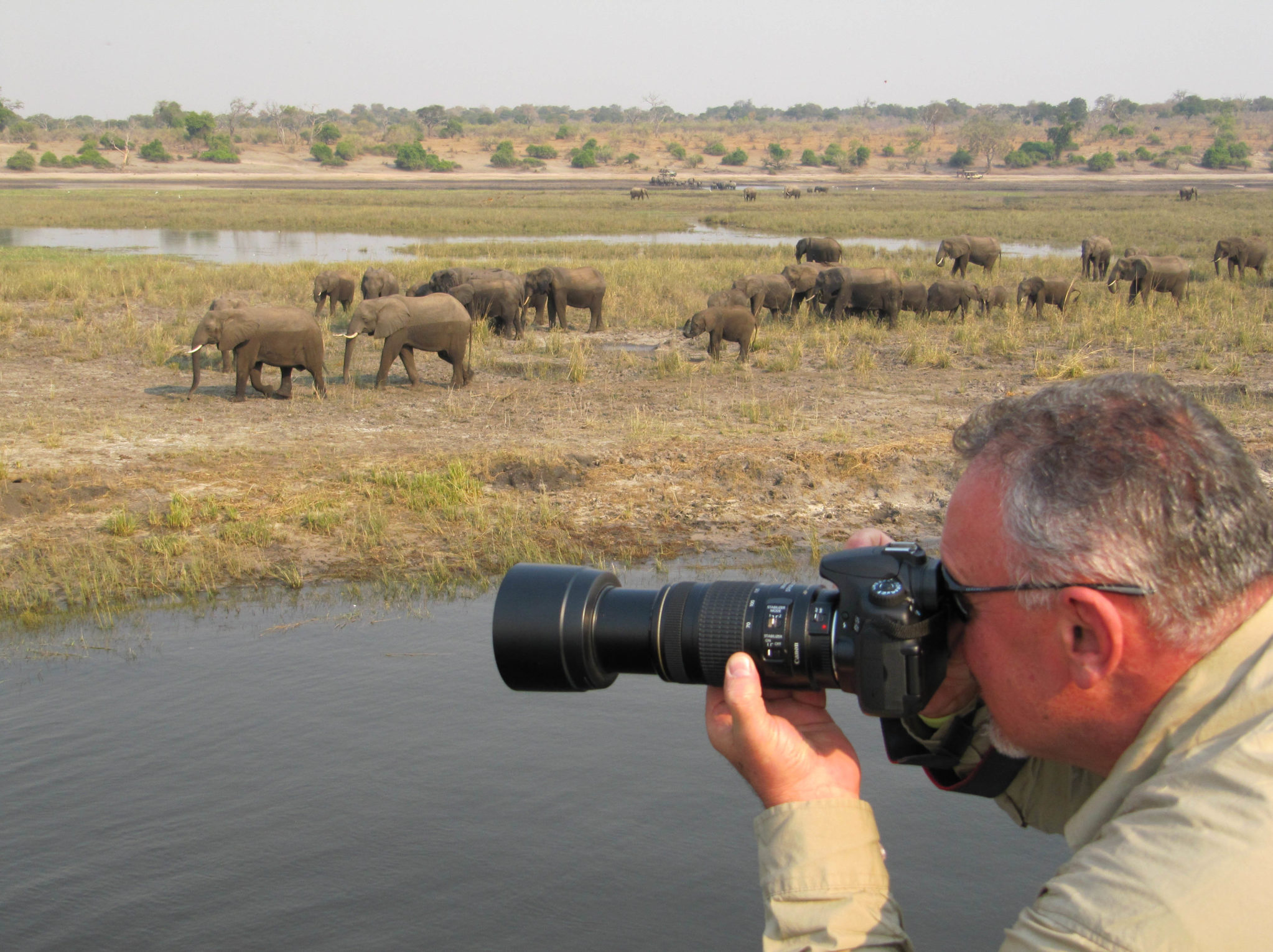 zambezi queen, zambezi safaris, photographic safaris