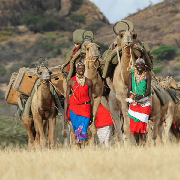 African holiday planning Kenya Samburu Camels