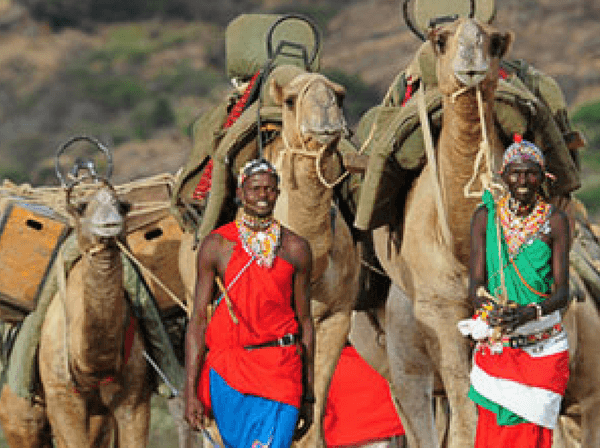 African holiday planning Kenya Samburu Camels