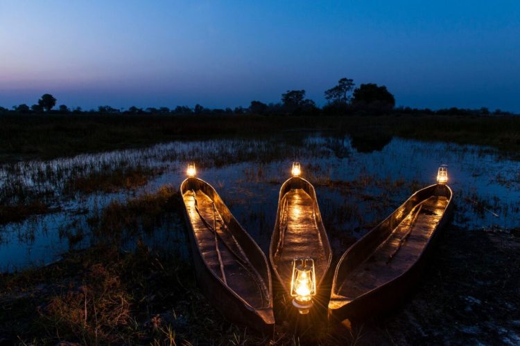 Mapula Lodge Okavango delta, Honeymoon in Africa