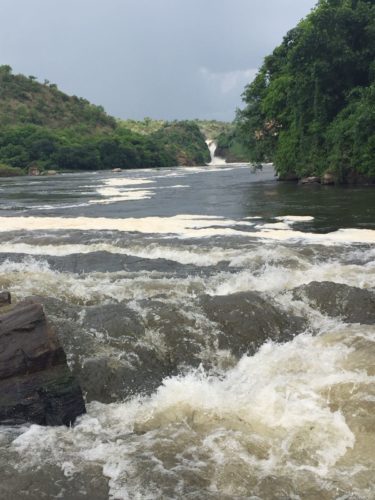 Uganda Safari Murchison Falls