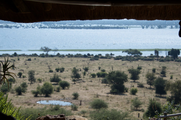 Botswana safaris, chobe natiobal park, boating safaris