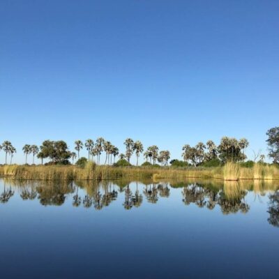Qorokwe Camp, the newest addition to Wilderness Safaris in the Okavango Delta.