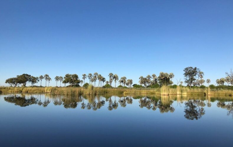 Qorokwe Camp, the newest addition to Wilderness Safaris in the Okavango Delta.