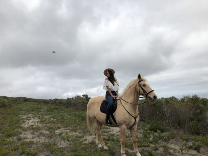 activities at Grootbos Private Nature Reserve